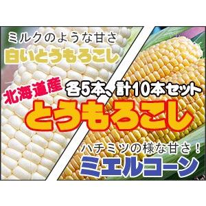 ミエルコーン＆白いとうもろこし(各5本、計10本)トウモロコシ2種セット【北海道産地直送 朝もぎとうきび】 送料無料