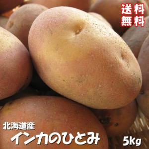 インカのひとみ お得用5kg (サイズ無選別) インカのめざめの新品種  北海道産 送料無料｜kissui