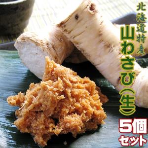 山わさび 70g〜100g×5パックセット【北海道産山山葵】やまわさび ホースラディッシュ【西洋わさび 蝦夷わさび】本わさびより辛い山ワサビ｜kissui