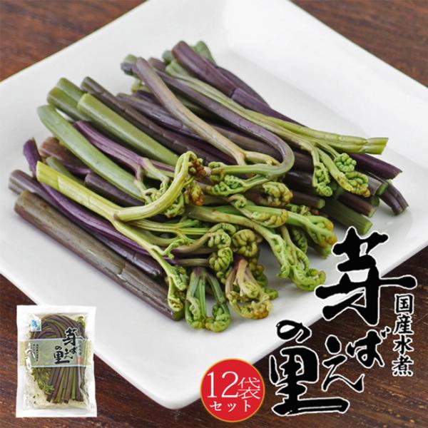 わらび 80g×12個 (国産わらび水煮) (芽ばえの里) 国産水煮。みそ汁の具にもお使い頂けます。...