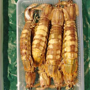 シャコ10尾オス(北海道小樽産 石狩湾)しゃこ...の詳細画像1