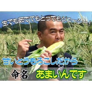 あまいんです 8本 甘すぎるとうもろこし【甘い...の詳細画像2