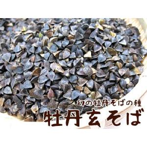牡丹玄蕎麦450g ぼたんそばの種 北海道産 ...の詳細画像1