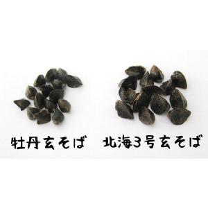 牡丹玄蕎麦450g ぼたんそばの種 北海道産 ...の詳細画像4