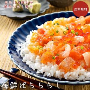 海鮮ばらちらしサーモン イクラ えんがわおかず おつまみ
