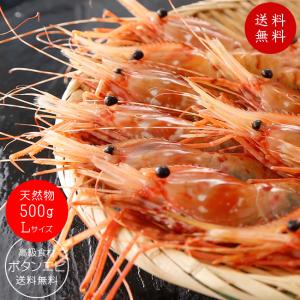 天然ボタンエビ500g Lサイズ(ぼたんえび)刺身で食べれる牡丹海老 高級食材のボタン海老です 濃厚な甘さとプリップリッの食感(牡丹エビ)｜kissui