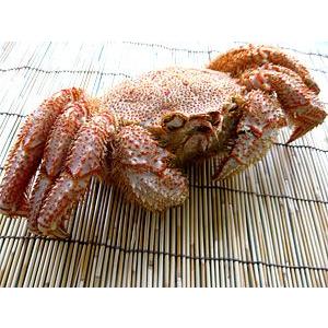 ボイル 毛がに 660g (北海道産巨大毛蟹)...の詳細画像5