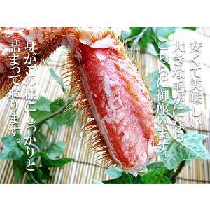 ボイル 毛がに 500g (北海道産特大毛蟹)...の詳細画像2