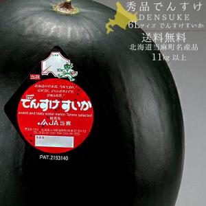 でんすけすいか6Lサイズ以上(ランク秀品、11kg以上)日本農業賞大賞受賞 北海道産スイカ 当麻町名産西瓜 送料無料