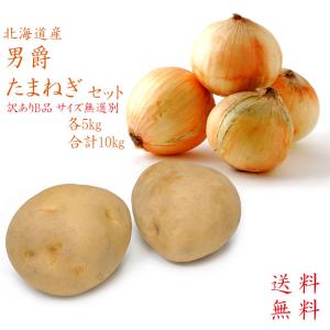 男爵いも たまねぎセット (各5kg 合計10kg サイズ無選別 訳ありB品) 北海道産じゃがいもと玉ねぎのセット 黄玉葱｜kissui