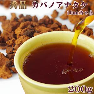 業務用 カバノアナタケ茶塊(原体)2.1kg(700g×3袋セット)北海道産
