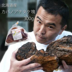 カバノアナタケ茶 塊 ≪原体≫ 300g  北海道産チャーガ茶100% ≪かばのあなたけ茶≫【健康茶】樺孔茸茶 【メール便対応】｜kissui