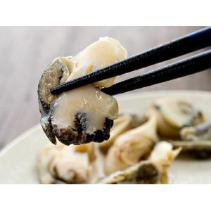 おつまみ つぶ貝40g 10個 醤油付 わさび付 毛ツブ アヤボラ 貝類 螺貝 ボイル味付加工 お茶請け 肴 北海道産ツブ貝 海鮮珍味 そのまま食べられる Blog Sumdigital Com Index Php