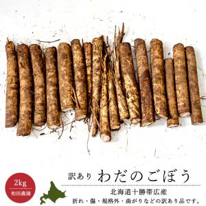わだのごぼう 2kg 折れ 傷 カットごぼう和田農園  訳アリ