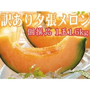 夕張メロン(個撰品) 訳あり 1玉(1.6kg) ご自宅用高級マスクメロン(赤肉メロン)【送料無料】｜kissui