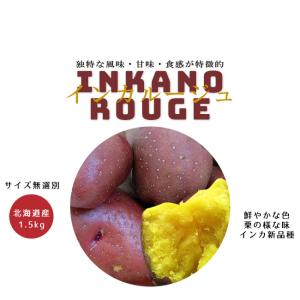 インカルージュ1.5kg 【サイズ無選別】 インカのめざめの新品種 【メール便対応】※只今発送中｜kissui