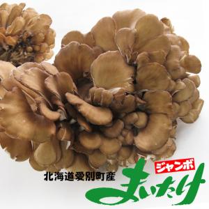 ジャンボまいたけ2株合計1kg以上 北海道愛別町産 きのこの里あいべつの舞茸(特産品のマイタケ)大株