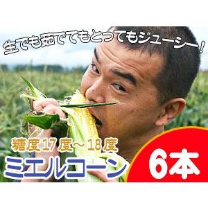 ミエルコーン（とうもろこし）6本【北海道限定販売品種】朝もぎフルーツトウモロコシ【北海道産とうきび】 送料無料