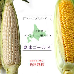 恵味ゴールド&amp;白いとうもろこし【各5本、計10本】とうもろこし2種セット 産地直送※送料無料