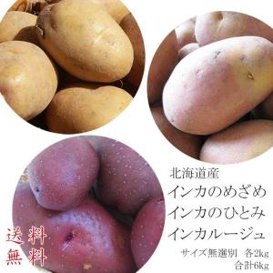 インカのひとみ＆インカのめざめ＆インカルージュセット (各2kg 合計6kg サイズ無選別)北海道産 (送料無料)｜kissui