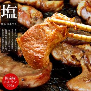 贅沢ホルモンセット500g塩味業務用塩ダレと昆布エキスミックスホルモン