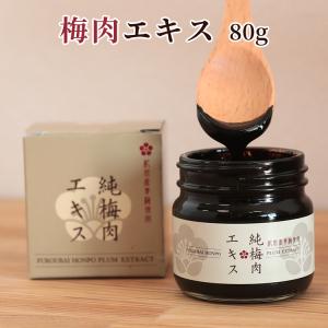 梅エキス（梅肉エキス）練状300g 和歌山県産の青梅使用 純100％梅