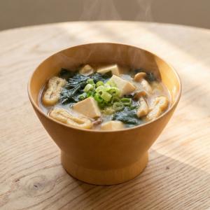 お椀 汁椀 蓋付き 食洗機対応 11cm 吸物椀 5客セット 塗り分 : 紀州