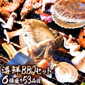 6種53品海鮮バーベキューセット 食品 食べ物 食品 お取り寄せ お歳暮  歳暮 お歳暮ギフト  歳暮ギフト