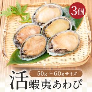 あわび アワビ 鮑 蝦夷あわび  活蝦夷あわび 50g-60gサイズ 3個入り 蝦夷あわび 蝦夷アワビ 送料無料 アワビ 鮑 訳あり お歳暮