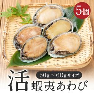 訳あり あわび アワビ 鮑 蝦夷あわび  活蝦夷あわび