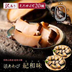 (11月下旬発送新貝予約) 訳あり 紀和味 紀州活あわび 20個入 40g以下ミニサイズ 殻長約6.5cm 蝦夷あわび 蝦夷アワビ  高級食材 五つ星高級旅館御用達 送料無料