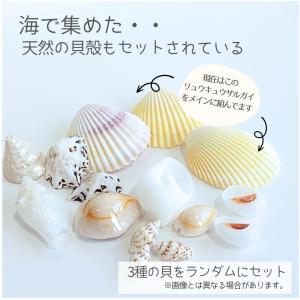 【工作キット】人魚のスノードーム/ 手作りキッ...の詳細画像4