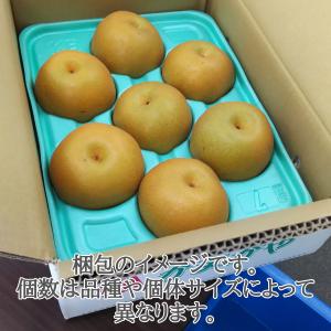 【豊水】かまたんのふるさと梨 豊水5kg:10...の詳細画像1