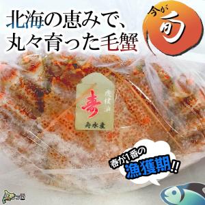 【必見】今が旬 北海道産大毛蟹 約650g×2...の詳細画像4