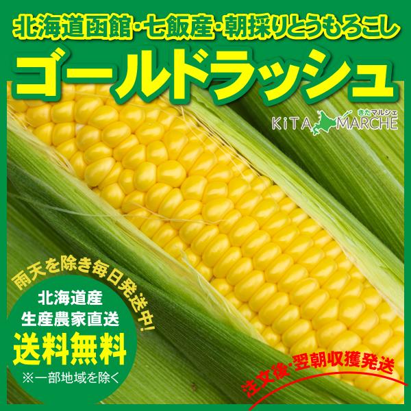 【順次発送中！】北海道産 とうもろこし ゴールドラッシュ 10本 3,580円 送料無料 朝採り