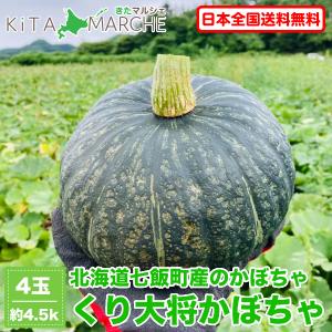 北海道産 かぼちゃ「くり大将」4玉（1玉約1.3kg）送料無料 ／ 無農薬栽培のかぼちゃを北海道からお届けします。｜kita-marche