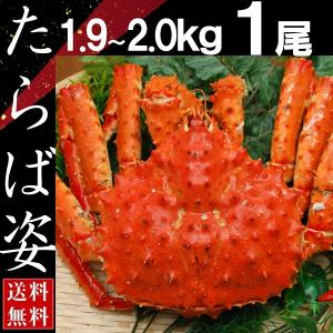 カニ かに 蟹 タラバガニ 姿 たらば蟹 特大 1.9kg〜2kg 1尾 ボイル 丸ごと 送料無料 お歳暮 ギフト 高級 海鮮