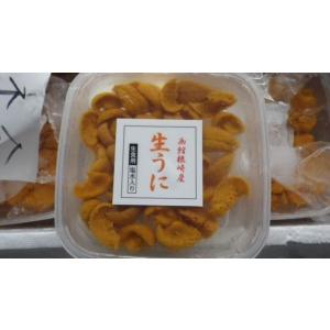 〔高級品〕北海道加工の塩水バフンウニ160ｇ（80ｇ×2）〔Ｂ〕北港直販☆うに・ウニ・雲丹〔代引き不可〕