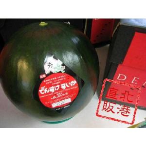 〔送料無料〕北海道産でんすけすいか共撰秀品4Ｌ9ｋｇ以上☆北港直販☆スイカ・西瓜〔着日指定不可〕〔同梱不可〕
