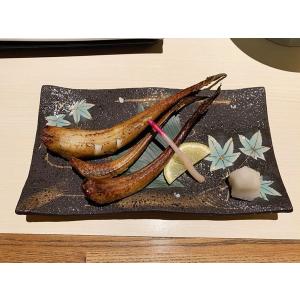 八角 魚 魚介類 海産物 の商品一覧 食品 通販 Yahoo ショッピング