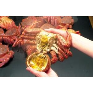 〔かに味噌が病みつきに〕北海道産冷凍ボイル毛ガ...の詳細画像3