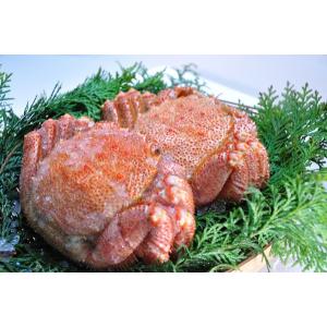 北海道産活毛ガニ1尾（500ｇ）〔Ｂ〕北港直販☆毛蟹・毛がに（代引き不可）