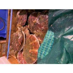 北海道産生ホタテ2年貝2kg(10枚前後)〔B...の詳細画像1