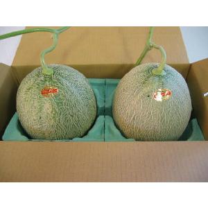 〔予約販売〕〔訳あり〕北海道産夕張メロン自宅用4kg前後(2...