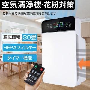 空気清浄機 おすすめ 花粉対策 30畳対応 除菌 集塵
