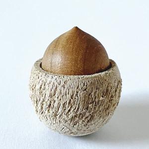 木製 どんぐりの おきあがりこぶし 置物 ドングリ 起き上がりこぼし
