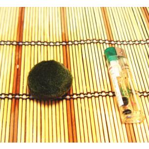 天然まりも(外国産) 1個入り 水草 マリモ育...の詳細画像2
