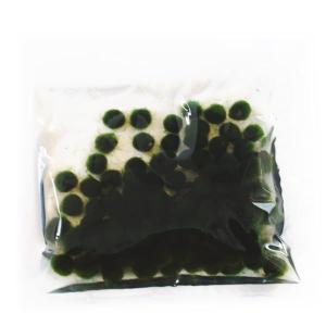 水草 国産マリモ 1個入り 無農薬 まりも お手軽 インテリア 育成簡単