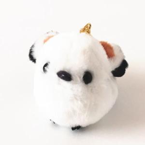 熊の爪 キーホルダー 小サイズ ベアクロー クマ くま 爪 : 北国
