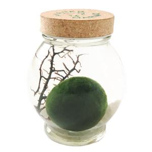 北国の雑貨屋さん きりり まりも Yahoo ショッピング